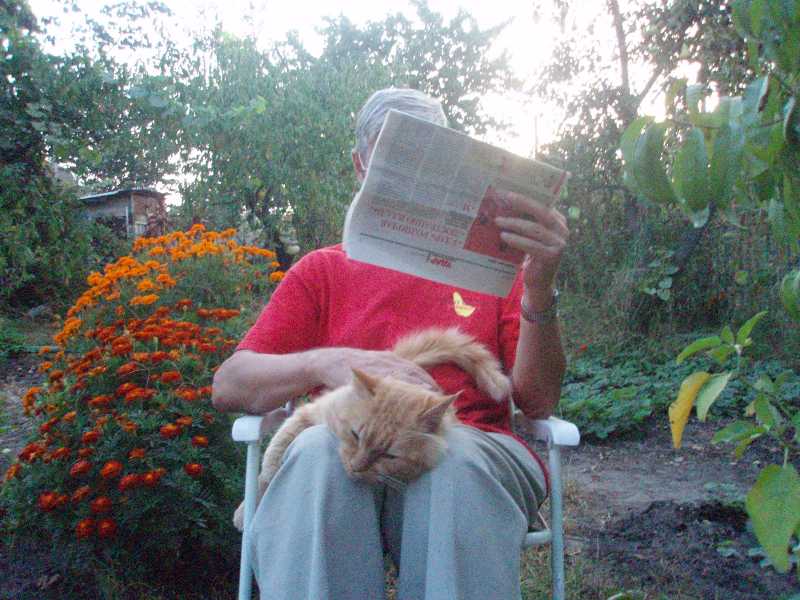 «Мурчательнуя» песенка