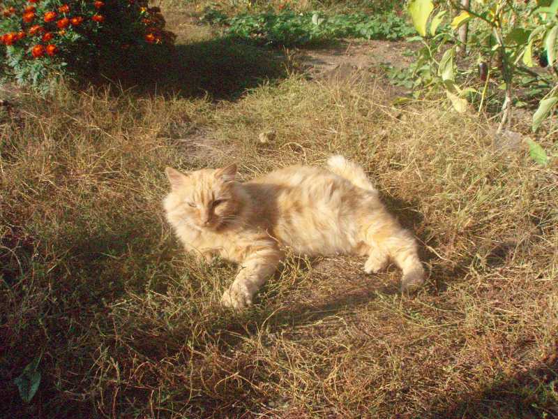 На солнышке