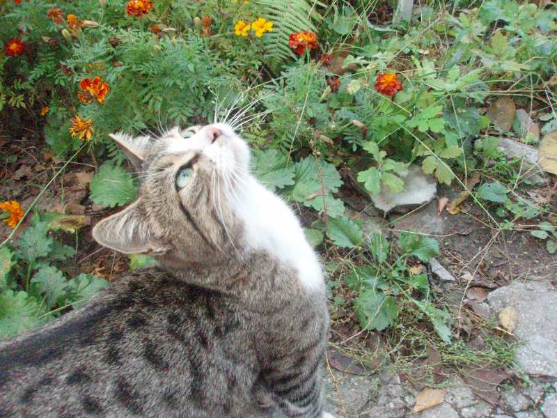 Вам непременно захочется их накормить