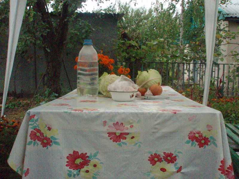 Милый дачный стол
