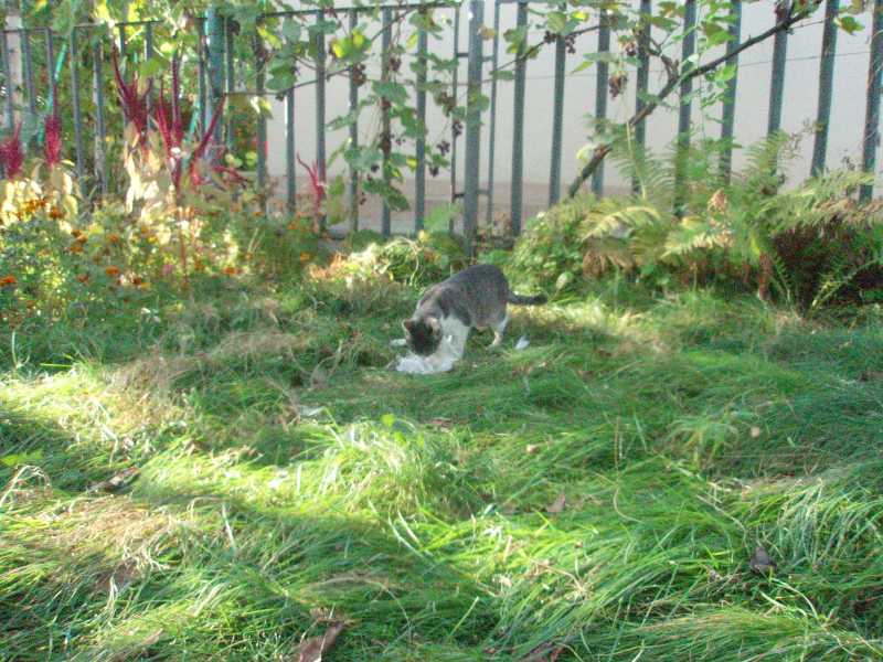 Уж сильно кушать захотелось