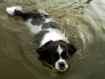 ...и поплыл, поплыл