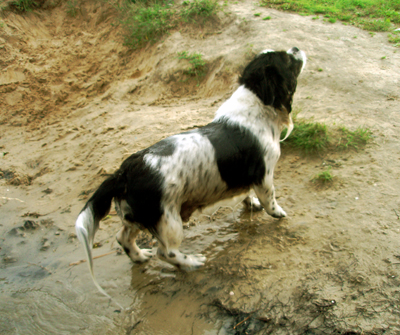 Вышел из воды